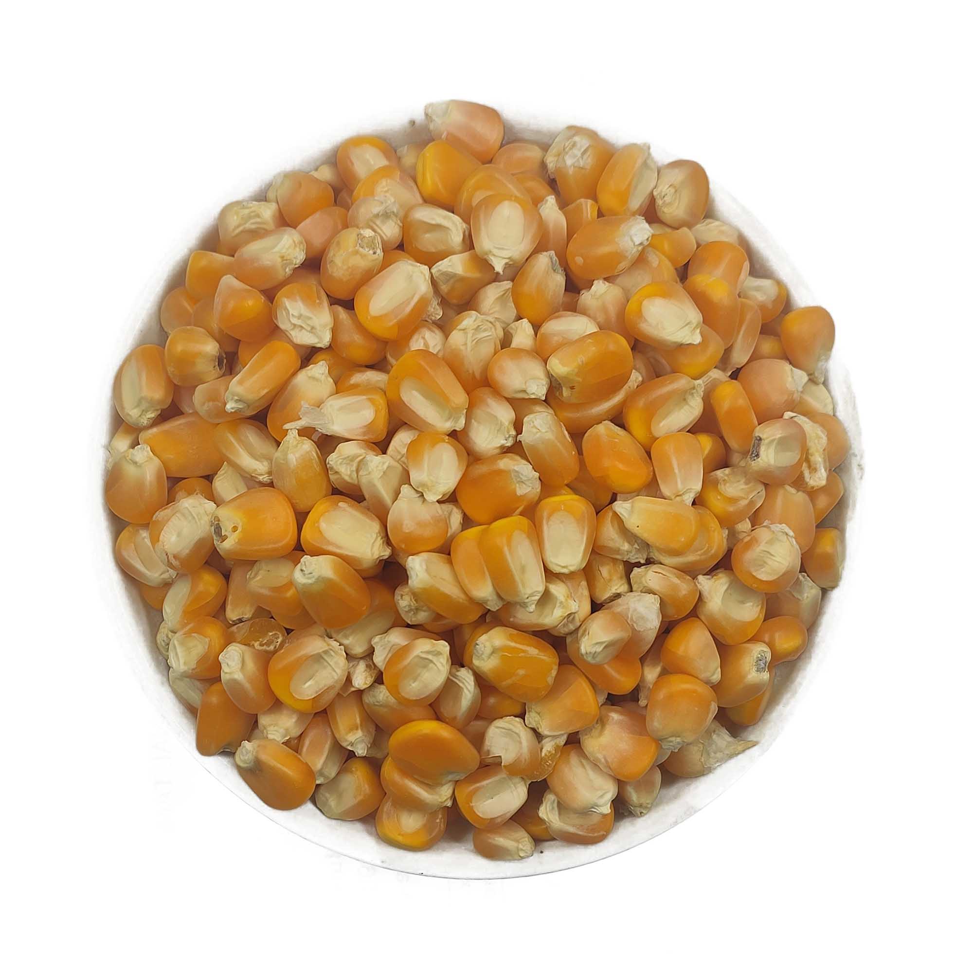 Maize-Corn-Unpolished